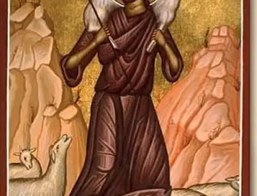 Good Shepherd Sunday