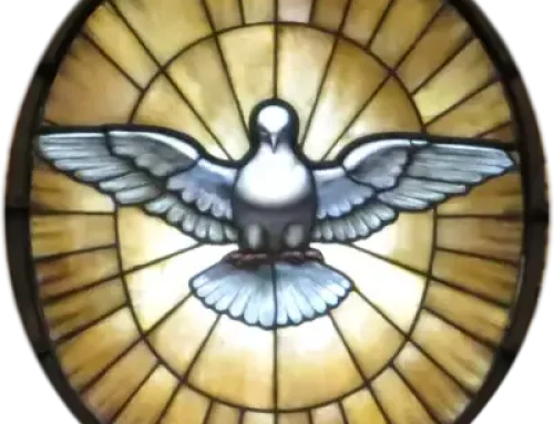 Confirmation